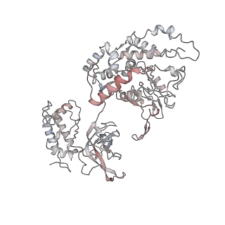 4786_6rax_4_v1-1
D. melanogaster CMG-DNA, State 1B