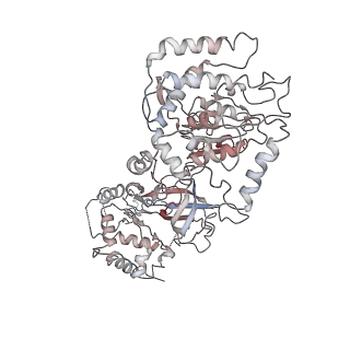 4786_6rax_7_v1-1
D. melanogaster CMG-DNA, State 1B