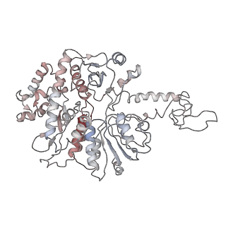 4786_6rax_A_v1-1
D. melanogaster CMG-DNA, State 1B