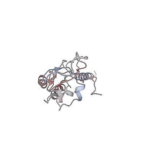 4786_6rax_M_v1-1
D. melanogaster CMG-DNA, State 1B