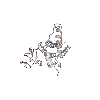 4786_6rax_N_v1-1
D. melanogaster CMG-DNA, State 1B