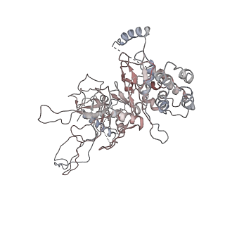 4787_6ray_2_v1-1
D. melanogaster CMG-DNA, State 2A