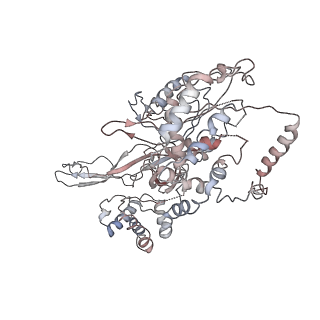 4787_6ray_3_v1-1
D. melanogaster CMG-DNA, State 2A