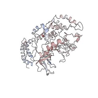 4787_6ray_4_v1-1
D. melanogaster CMG-DNA, State 2A