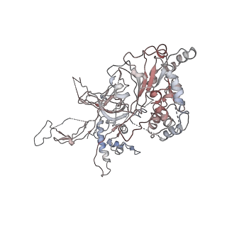 4787_6ray_5_v1-1
D. melanogaster CMG-DNA, State 2A