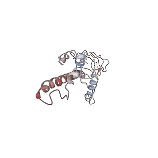 4787_6ray_H_v1-1
D. melanogaster CMG-DNA, State 2A