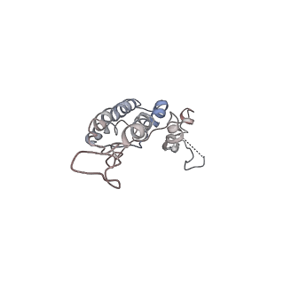 4787_6ray_L_v1-1
D. melanogaster CMG-DNA, State 2A