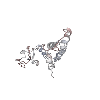 4787_6ray_N_v1-1
D. melanogaster CMG-DNA, State 2A