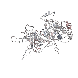 4788_6raz_2_v1-0
D. melanogaster CMG-DNA, State 2B