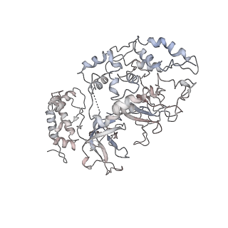 4788_6raz_4_v1-0
D. melanogaster CMG-DNA, State 2B