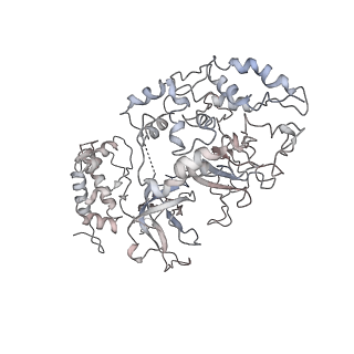 4788_6raz_4_v2-0
D. melanogaster CMG-DNA, State 2B