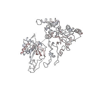 4788_6raz_6_v1-0
D. melanogaster CMG-DNA, State 2B