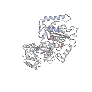 4788_6raz_7_v1-0
D. melanogaster CMG-DNA, State 2B