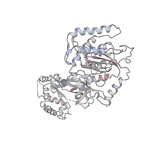 4788_6raz_7_v2-0
D. melanogaster CMG-DNA, State 2B