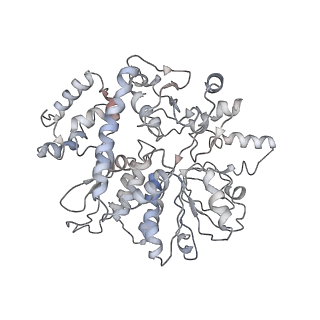 4788_6raz_A_v1-0
D. melanogaster CMG-DNA, State 2B
