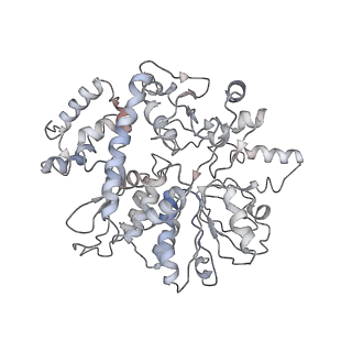 4788_6raz_A_v2-0
D. melanogaster CMG-DNA, State 2B