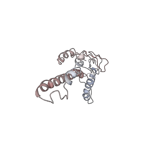 4788_6raz_H_v1-0
D. melanogaster CMG-DNA, State 2B