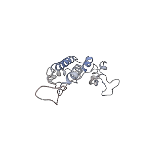 4788_6raz_L_v2-0
D. melanogaster CMG-DNA, State 2B