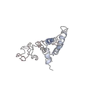 4788_6raz_N_v1-0
D. melanogaster CMG-DNA, State 2B