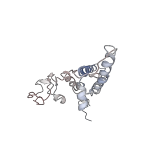 4788_6raz_N_v2-0
D. melanogaster CMG-DNA, State 2B