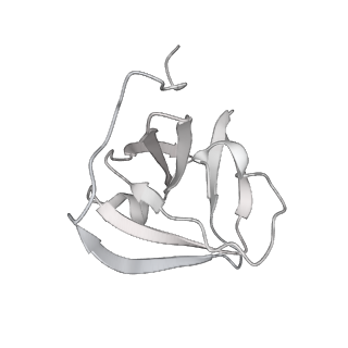 19040_8rbz_B_v1-0
Structure of Integrator-PP2A-SOSS-CTD post-termination complex