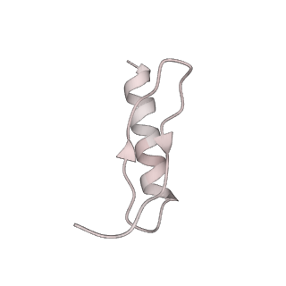 19040_8rbz_C_v1-0
Structure of Integrator-PP2A-SOSS-CTD post-termination complex