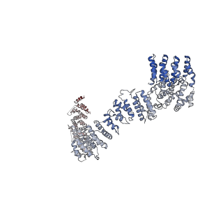 19040_8rbz_a_v1-0
Structure of Integrator-PP2A-SOSS-CTD post-termination complex