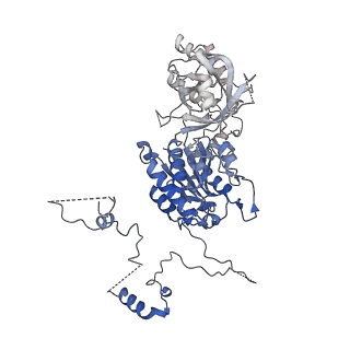 19040_8rbz_f_v1-0
Structure of Integrator-PP2A-SOSS-CTD post-termination complex