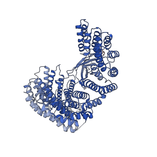 19040_8rbz_g_v1-0
Structure of Integrator-PP2A-SOSS-CTD post-termination complex