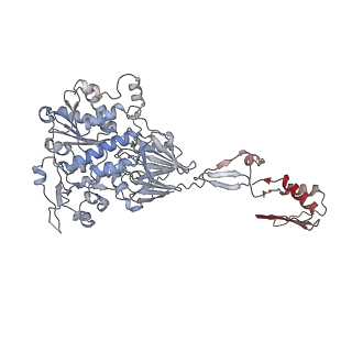 19040_8rbz_i_v1-0
Structure of Integrator-PP2A-SOSS-CTD post-termination complex