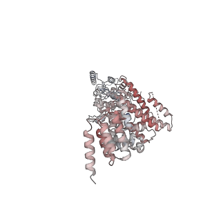 19040_8rbz_j_v1-0
Structure of Integrator-PP2A-SOSS-CTD post-termination complex