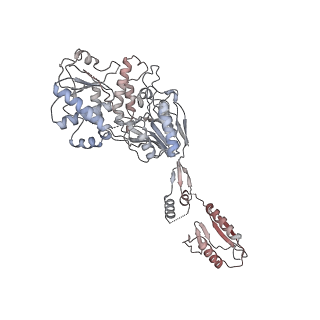 19040_8rbz_k_v1-0
Structure of Integrator-PP2A-SOSS-CTD post-termination complex