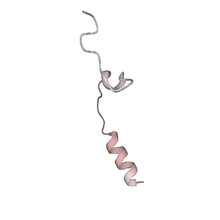 19040_8rbz_m_v1-0
Structure of Integrator-PP2A-SOSS-CTD post-termination complex