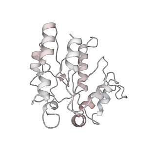 19040_8rbz_n_v1-0
Structure of Integrator-PP2A-SOSS-CTD post-termination complex