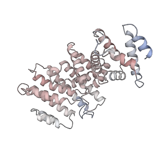 19040_8rbz_o_v1-0
Structure of Integrator-PP2A-SOSS-CTD post-termination complex