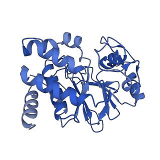 19040_8rbz_q_v1-0
Structure of Integrator-PP2A-SOSS-CTD post-termination complex