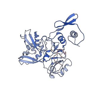 24391_7rb0_B_v1-2
Cryo-EM structure of SARS-CoV-2 NSP15 NendoU at pH 7.5