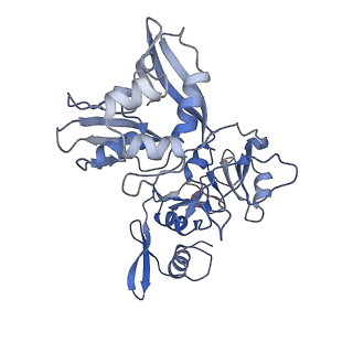 24391_7rb0_C_v1-2
Cryo-EM structure of SARS-CoV-2 NSP15 NendoU at pH 7.5