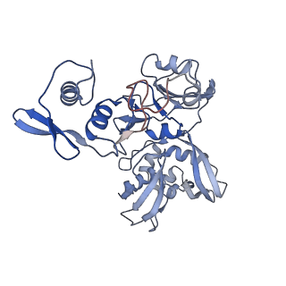 24391_7rb0_D_v1-2
Cryo-EM structure of SARS-CoV-2 NSP15 NendoU at pH 7.5
