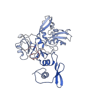 24391_7rb0_F_v1-2
Cryo-EM structure of SARS-CoV-2 NSP15 NendoU at pH 7.5