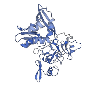 24392_7rb2_A_v1-2
Cryo-EM structure of SARS-CoV-2 NSP15 NendoU in BIS-Tris pH 6.0