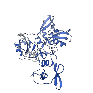 24392_7rb2_C_v1-2
Cryo-EM structure of SARS-CoV-2 NSP15 NendoU in BIS-Tris pH 6.0