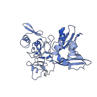 24392_7rb2_D_v1-2
Cryo-EM structure of SARS-CoV-2 NSP15 NendoU in BIS-Tris pH 6.0