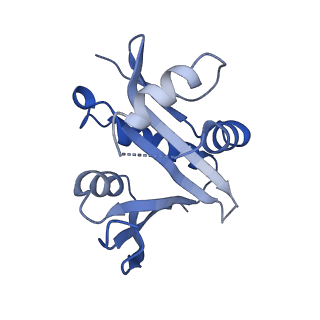 24393_7rb3_A_v1-1
Cryo-EM structure of human binary NatC complex with a Bisubstrate inhibitor