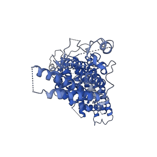 24393_7rb3_B_v1-1
Cryo-EM structure of human binary NatC complex with a Bisubstrate inhibitor