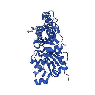 24399_7rb8_A_v1-1
cryo-EM structure of the ADP state wild type myosin-15-F-actin complex