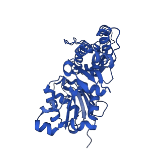 24399_7rb8_B_v1-1
cryo-EM structure of the ADP state wild type myosin-15-F-actin complex