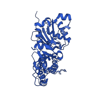 24399_7rb8_C_v1-1
cryo-EM structure of the ADP state wild type myosin-15-F-actin complex