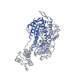 24399_7rb8_D_v1-1
cryo-EM structure of the ADP state wild type myosin-15-F-actin complex