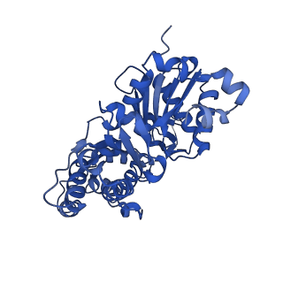 24400_7rb9_A_v1-1
Cryo-EM structure of the rigor state Jordan myosin-15-F-actin complex